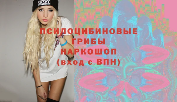 дурь Сясьстрой