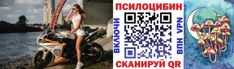 Купить где  Урус-Мартан  Галлюциногенные грибы Cubensis 